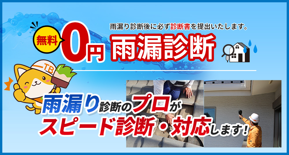 天井にシミ、クロスにカビ、室内に雨水が垂れてくる…雨漏りかな…と思ったら 無料雨漏診断！雨漏りのプロがいるから安心雨漏りのことなら達美装におまかせ 診断無料！納得提案！
